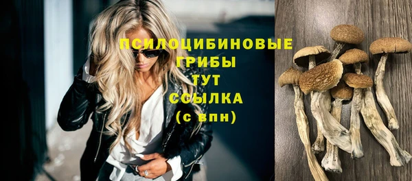 mdma Зерноград