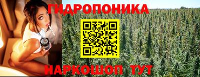 стаф Коммунар