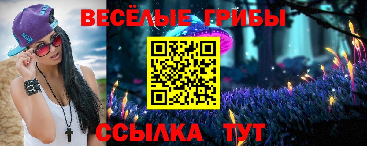 Галлюциногенные грибы GOLDEN TEACHER  Вход с VPN  Славгород 